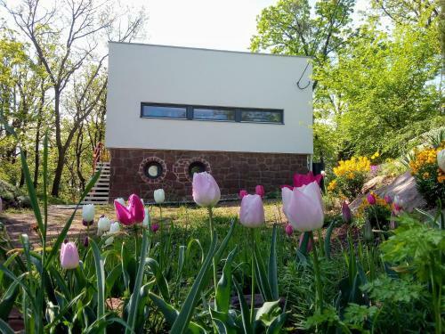 H�vir�g Apartman