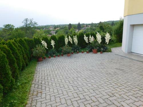 Hostal Nefelejcs Vend�gh�z