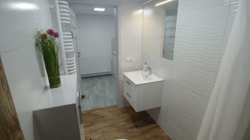 Apartament Arkadia Storczyk