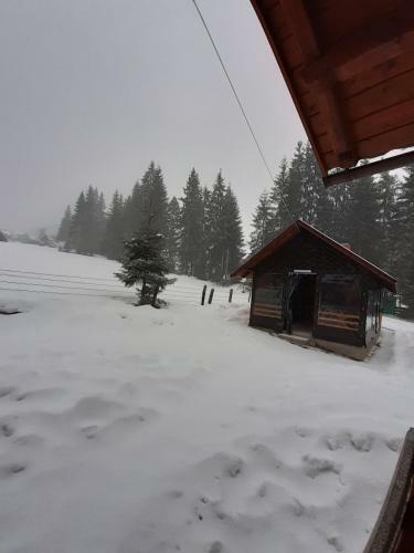 Hostal Cabana Col? De Rai