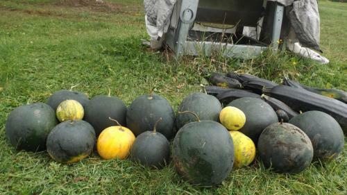Gospodarstwo Agroturystyczne ,,przy Siole''