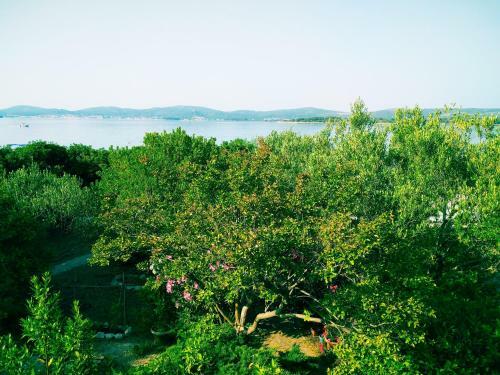 Adria Apartments