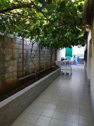 Apartamento House Haler