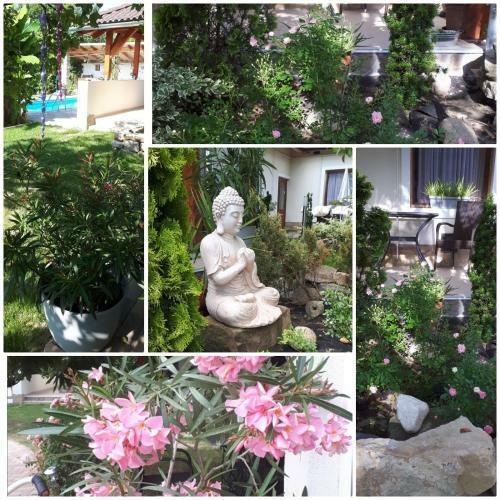 Hostal Andrea Panzi� Keszthely