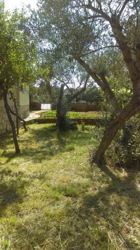 Knaffl Apartment