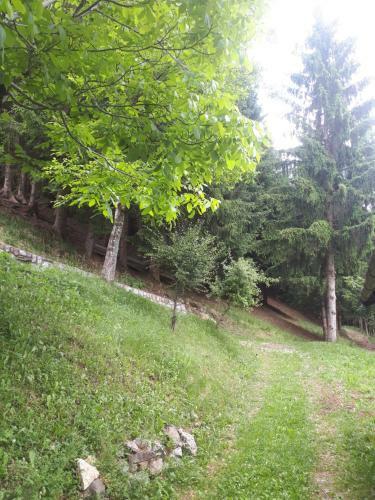 Azzone Cascina Nel Verde