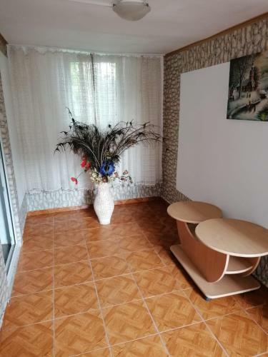 Hostal Casa De Vacanta Adi