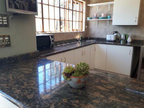 Cottage, Close To Uj, Milpark, Wits