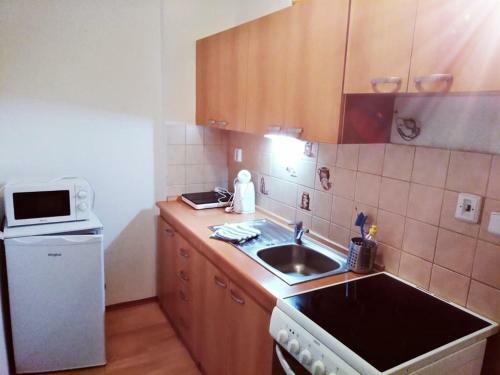 Clean And Cheap Apartment J�chymov