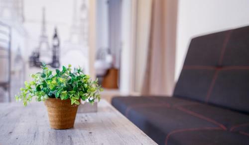 Modern Apartment