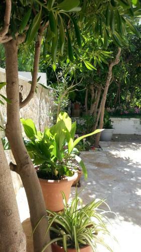 Sol Apartman
