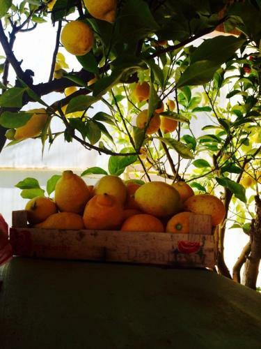 Bed & Breakfast Country Room Il Moro