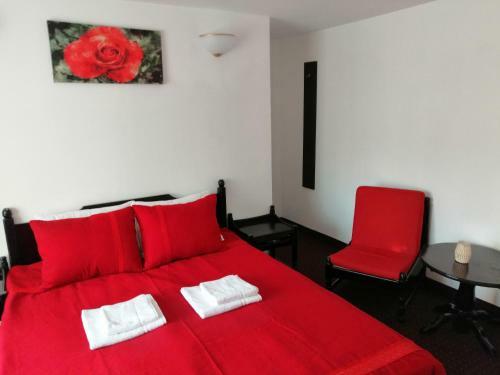 Bed & Breakfast Copou Inn