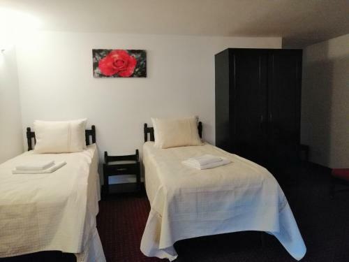 Bed & Breakfast Copou Inn
