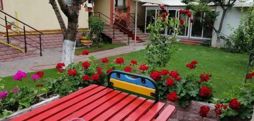 Bed & Breakfast Copou Inn