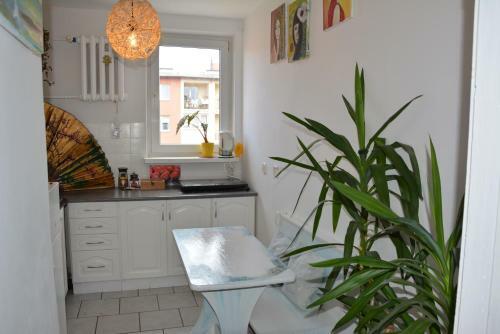 Apartamento W Obj?ciu Neptuna