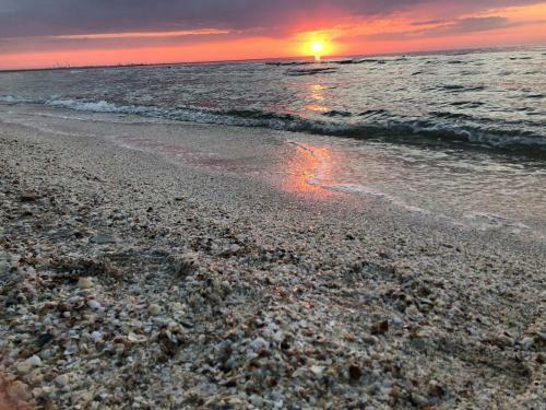 Apartament Silver Mamaia Nord