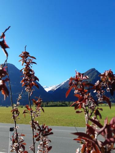 Bed & Breakfast G�stehaus Br�uer