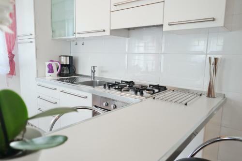 Apartment White