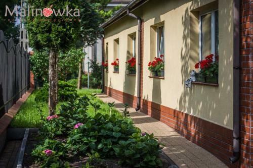 Malinowka