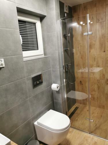 Apartamento Pokoje Go?cinne "olesia"
