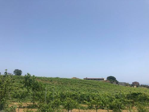 Bed & Breakfast Agriturismo Donna Germana