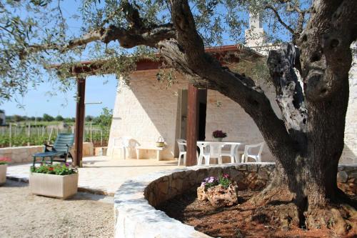 Trulli Cicerone