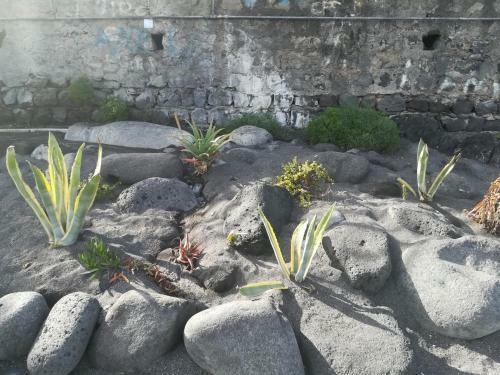Apartamento Appartamento Sabbia Dell' Etna