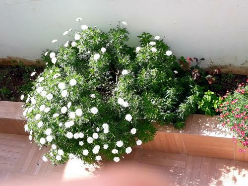 Apartamento Sitia Holidays