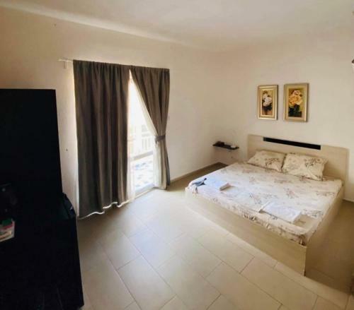 Color Apartment