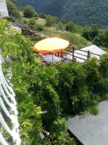 Ribera Sacra ( Apartamento Rural )
