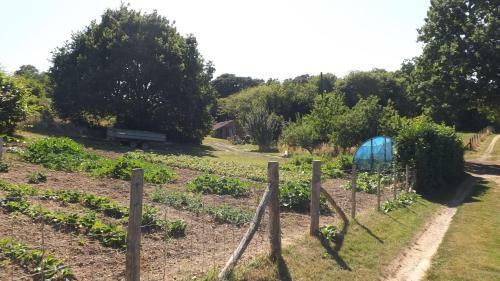 Agroturismo Hen House
