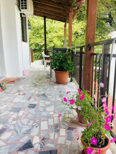 Hostal Avra Apartments