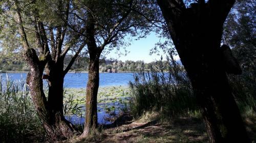 Al Lago Guest House