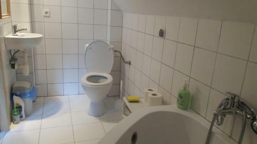 Tajemniczy Ogr�d