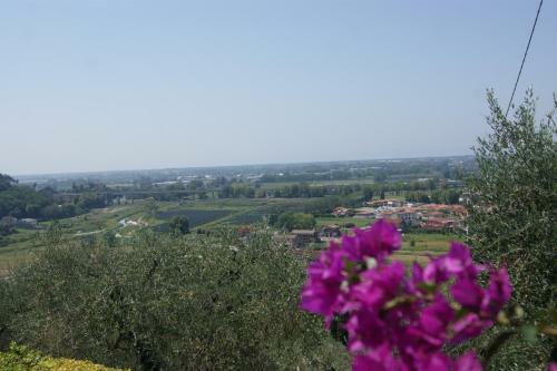 Villa Le Casette