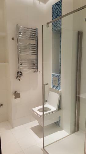Apartamenty Wise?ka