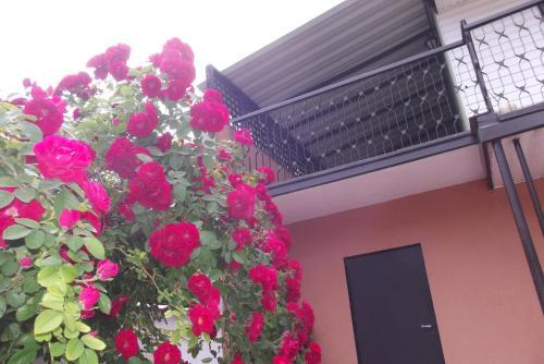 Apartament Monika Podzamcze 10