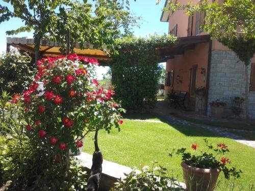 Bed & Breakfast Poggio La Grognola