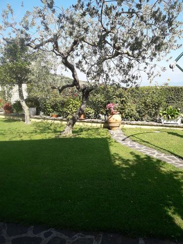 Bed & Breakfast Poggio La Grognola