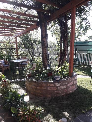Bed & Breakfast Poggio La Grognola