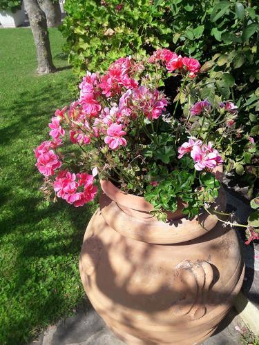 Bed & Breakfast Poggio La Grognola