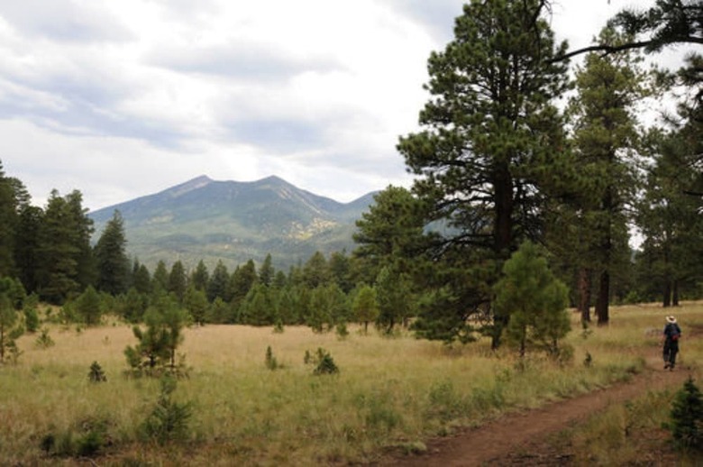Elden Trails Bed And Breakfast