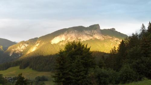 Hotel H�tel Les Skieurs