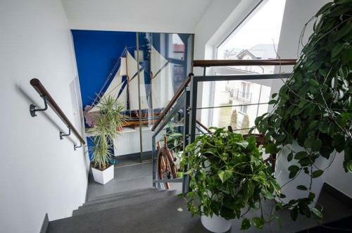 Willa "hafen"
