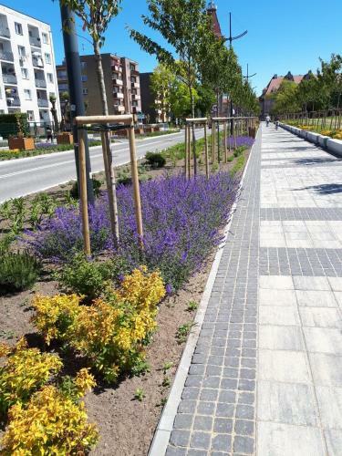 Apartamento Wynajem Pokoi Urszula