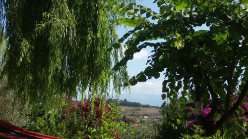 Tre Cammelli In Collina