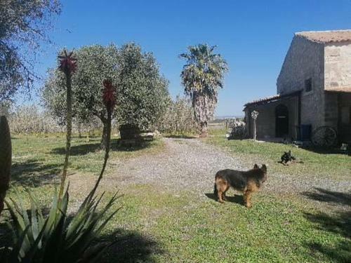Apartamento Tenuta Case Valenti Palmento Cuba