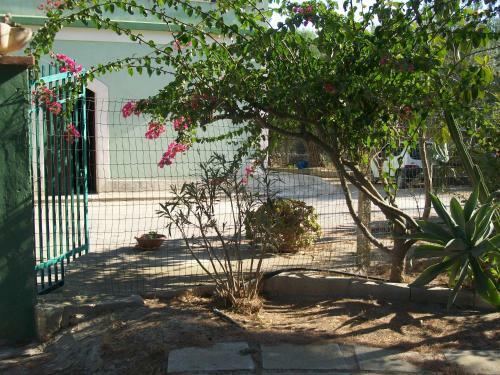 Apartamento Greenpark
