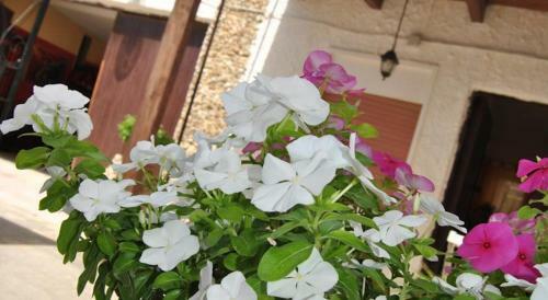 Bed & Breakfast Baia Dei Turchi